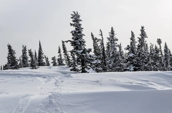 Ski resort sheregesh, horské shoria, kemerovo region, Rusko. — Stock fotografie