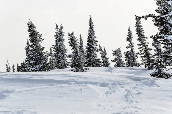 Ski resort sheregesh, horské shoria, kemerovo region, Rusko. — Stock fotografie