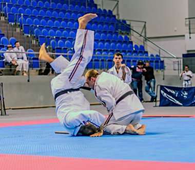 Ramenskoye, moscow region, Rusya Federasyonu - Nisan 2013: şampiyonluk