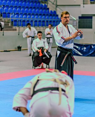 Ramenskoye, moscow region, Rusya Federasyonu - Nisan 2013: şampiyonluk