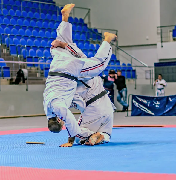 RAMENSKOYE, REGIÓN DE MOSCÚ, RUSIA - ABRIL 2013: el campeonato — Foto de Stock