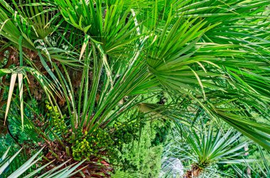 verse zelfgemaakte krokant Italiaanse antipasto bruschetta.