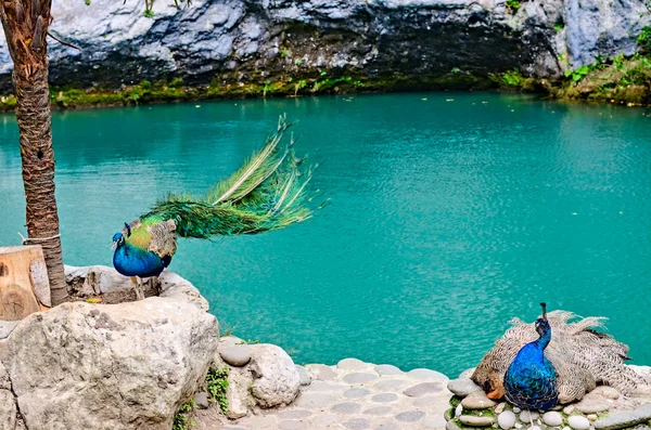 Синє озеро в Абхазії. — стокове фото