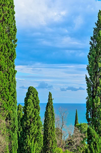 Tipi di Abkhazia . — Foto Stock