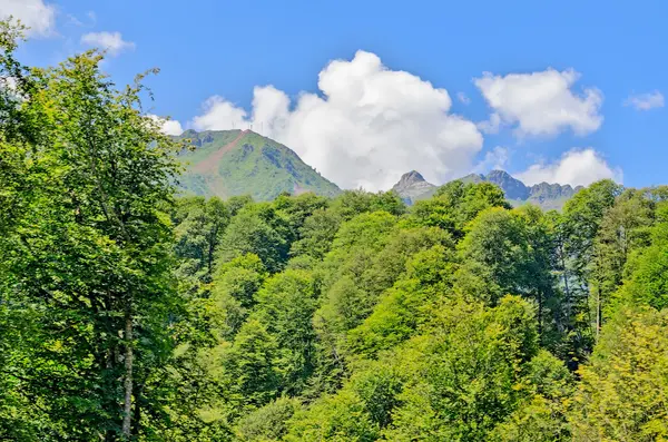 Paisajes y vistas de Krasnaya Polyana, Sochi . — Foto de Stock