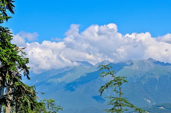 Manzara ve görünümlerini krasnaya polyana, Soçi. — Stok fotoğraf