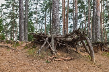 sonbahar Köyü göl.