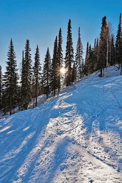 Station de ski Sheregesh, région de Kemerovo, Russie . — Photo