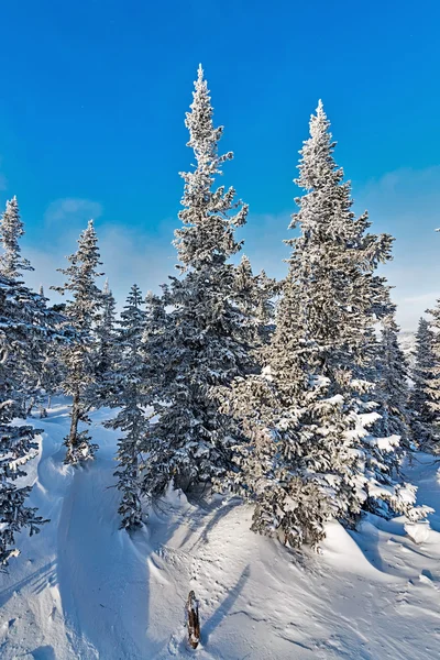 Ski resort sheregesh, kemerovo region, Ryssland. — Stockfoto