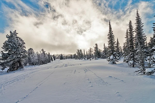 Ski resort sheregesh, kemerovo region, Ryssland. — Stockfoto