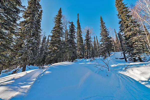 Ski resort Sheregesh, Kemerovo region, Russia. — Stock Photo, Image