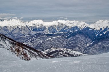 Olimpiyat Kayak izi rosa khutor.