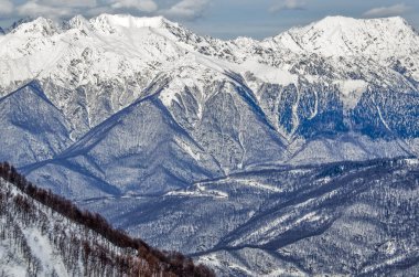 Olimpiyat Kayak izi rosa khutor.