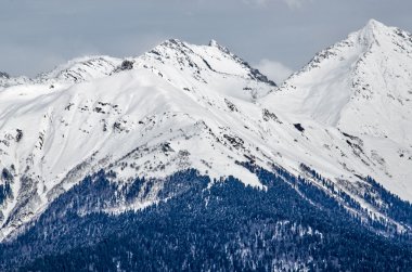 Olimpiyat Kayak izi rosa khutor.