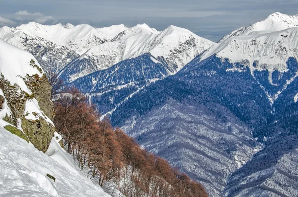 Olimpijskiej narciarzy szlak Chutor rosa. — Zdjęcie stockowe