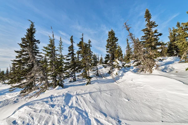 Ski resort sheregesh, kemerovo region, Ryssland. — Stockfoto