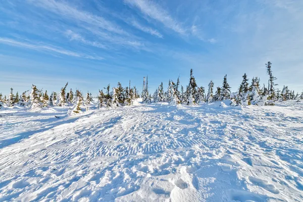 Ski resort Sheregesh, Kemerovo region, Russia. — Stock Photo, Image