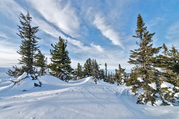 Ski resort sheregesh, kemerovo region, Ryssland. — Stockfoto