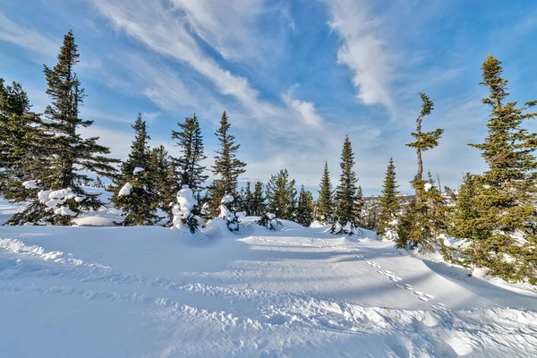 Ski resort sheregesh, kemerovo region, Ryssland. — Stockfoto