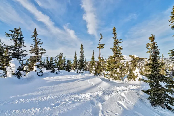 Ski resort sheregesh, kemerovo bölgesi, Rusya Federasyonu.