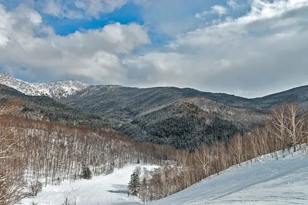 La natura dell'isola di Sakhalin, Russia . — Foto Stock