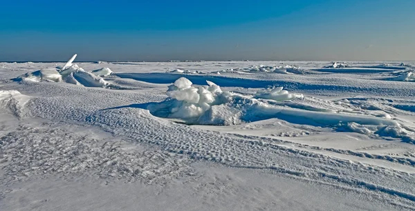 De aard van het eiland Sachalin, Rusland. — Stockfoto