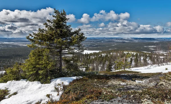 Khibiny Cordilheira Kirovsk Região Murmansk Rússia — Fotografia de Stock