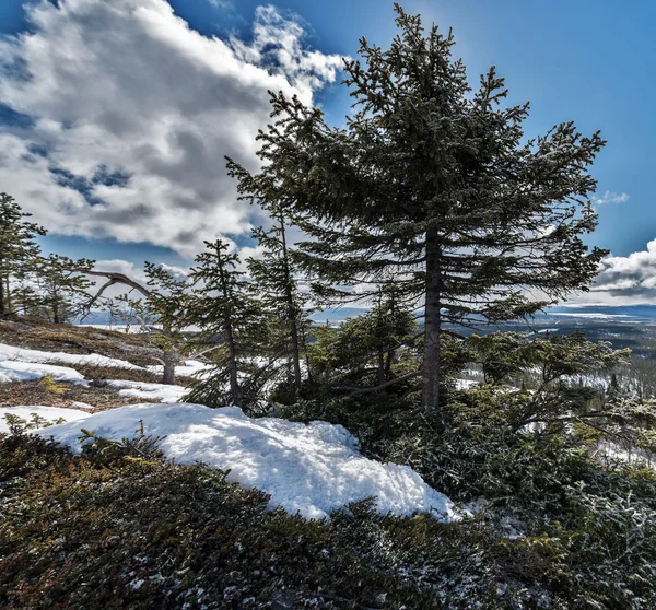 Khibiny Mountain Range Kirovsk Regione Murmansk Russia — Foto Stock