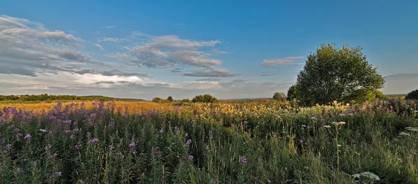 L'anello d'oro della Russia . — Foto Stock