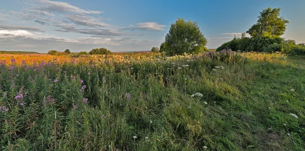 Der goldene Ring Russlands. — Stockfoto