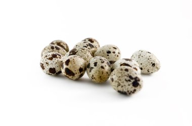 bıldırcın yumurtası.