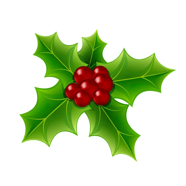 Baga de natal holly — Vetor de Stock