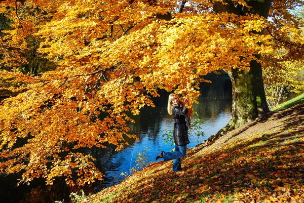 Yellow and blonde — Stock Photo, Image