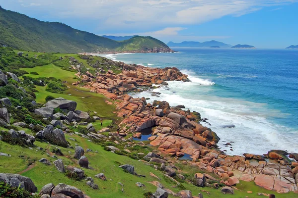 緑の岩の多い海岸線 ストック画像