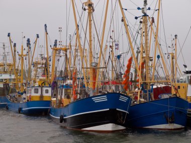 Hollandalı balıkçılık filo lauwersoog