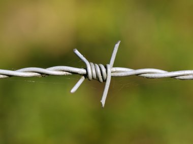 detail barbed wire clipart
