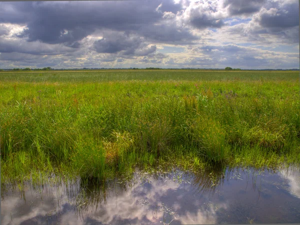Hollandalı polder peyzaj — Stok fotoğraf