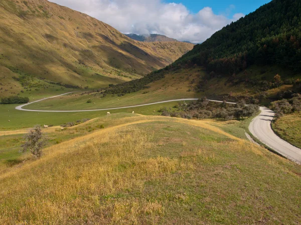 Winding road — Stock Photo, Image