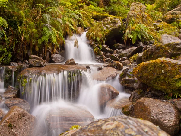 Тропічний ліс водоспад — стокове фото