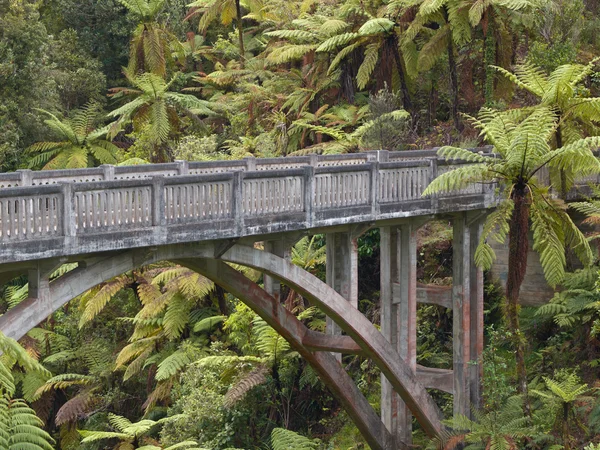 Ponte da selva solitária — Fotografia de Stock