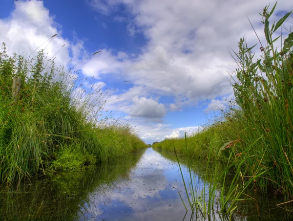 Typical dutch ditch — Stock Photo, Image