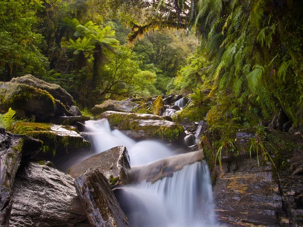 Wasserfall im Regenwald — Stockfoto