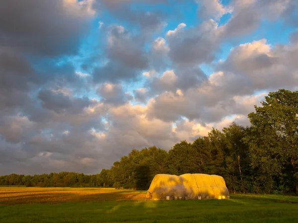 Hay stack during sunset — Stock Photo, Image