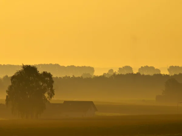 Maison solitaire pendant le lever du soleil brumeux — Photo