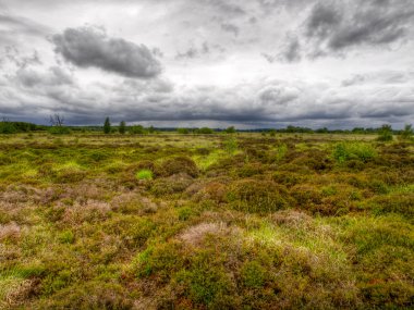 Hollandalı araziler dramatik gökyüzü altında