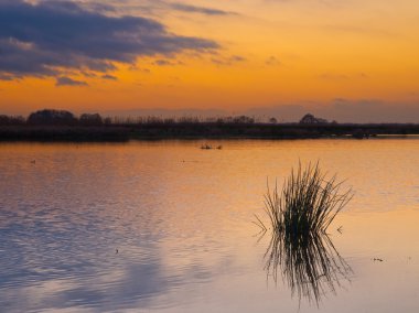 gün batımı sırasında doğa rezerv