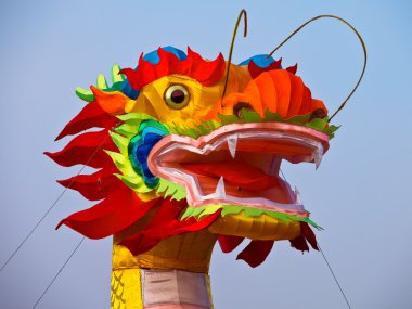 Derma dragon