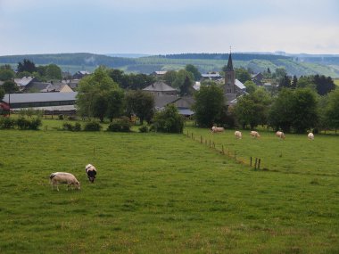 ardennes