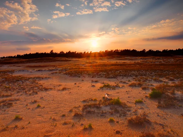 The sun is setting over wind swept sand dunes — Stock Photo, Image