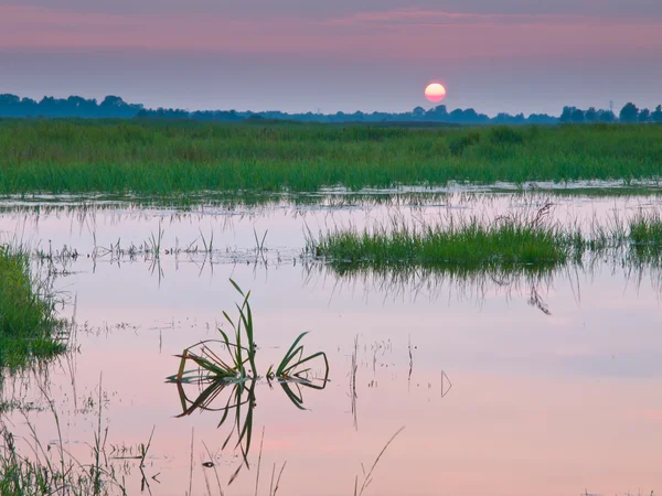 El sol se pone sobre un pantano de agua dulce — Foto de Stock